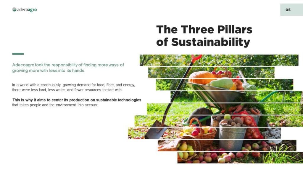 Slide 6